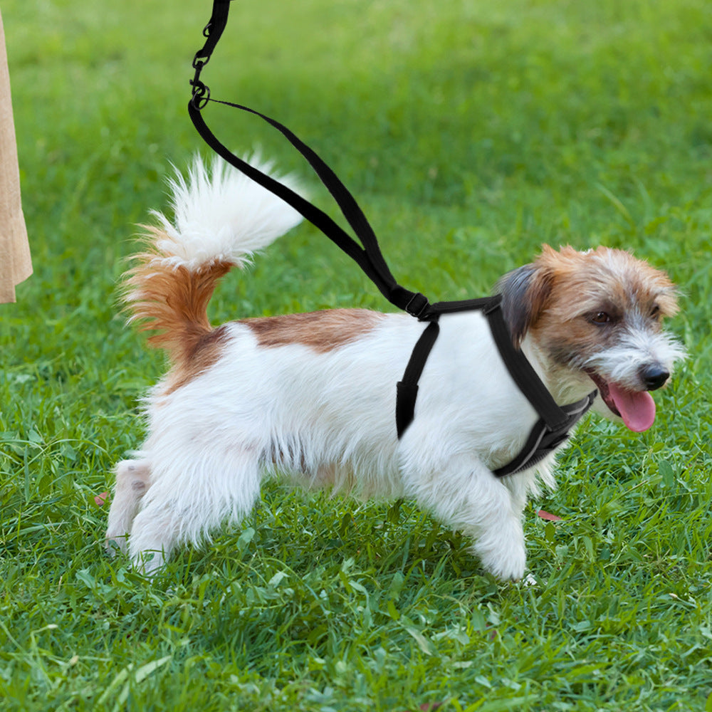 Enhance Your Dog's Safety with Our Nylon Dog Breathable Reflective Anti-riot Chest Strap
